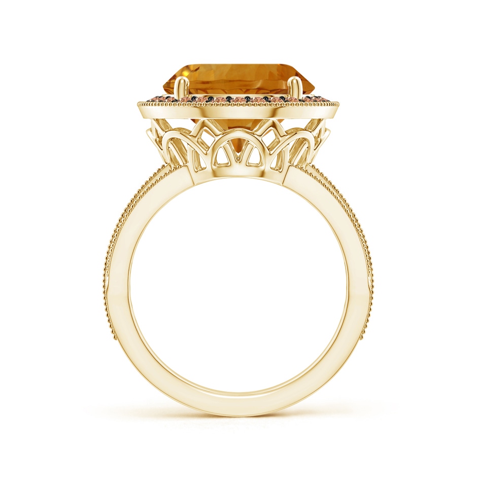 12.20x12.14x8.14mm AAAA GIA Certified Round Citrine Ring with Coffee Diamond Halo in 18K Yellow Gold side 199