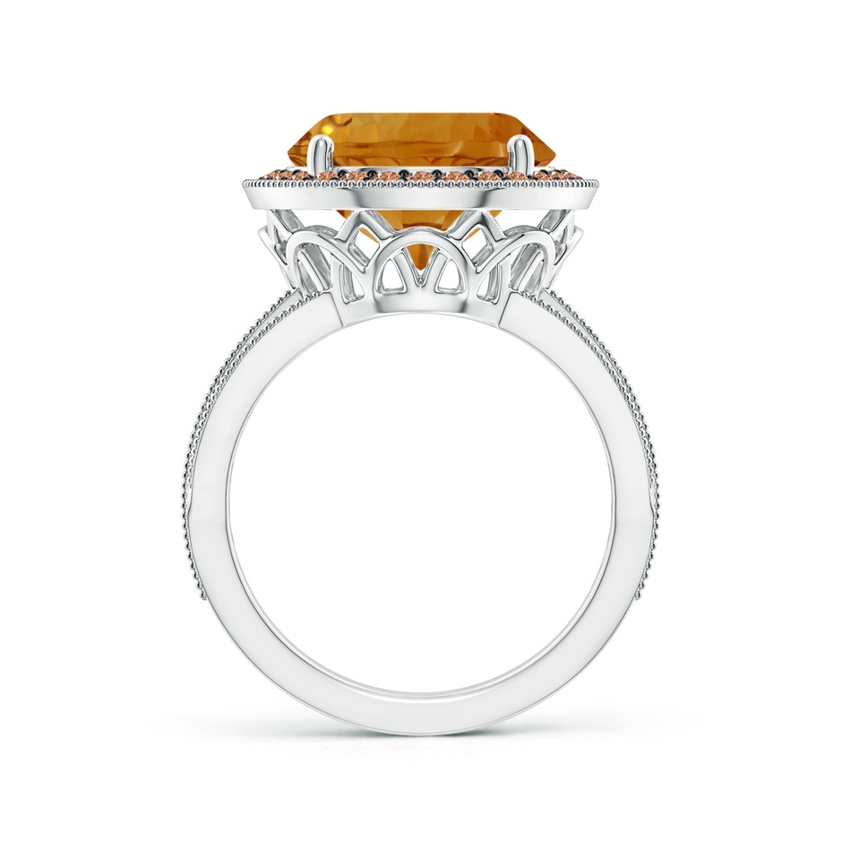 12.20x12.14x8.14mm AAAA GIA Certified Round Citrine Ring with Coffee Diamond Halo in White Gold side 199