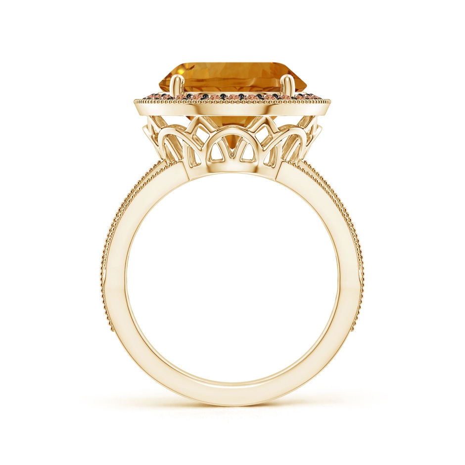 12.20x12.14x8.14mm AAAA GIA Certified Round Citrine Ring with Coffee Diamond Halo in Yellow Gold side 199