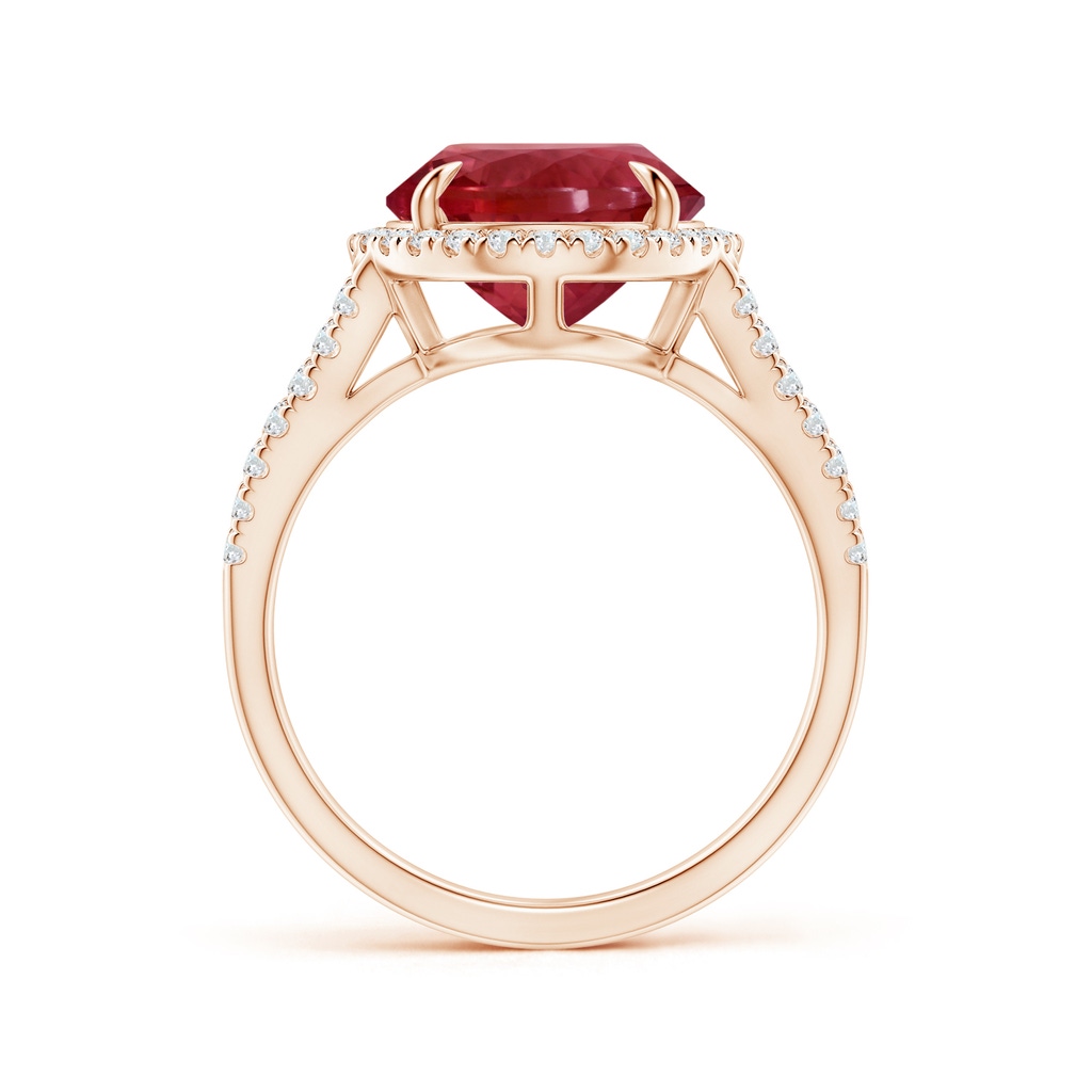 12.18x10.22x7.61mm AAAA GIA Certified Oval Pink Tourmaline Split Shank Ring with Halo in 10K Rose Gold - side 199