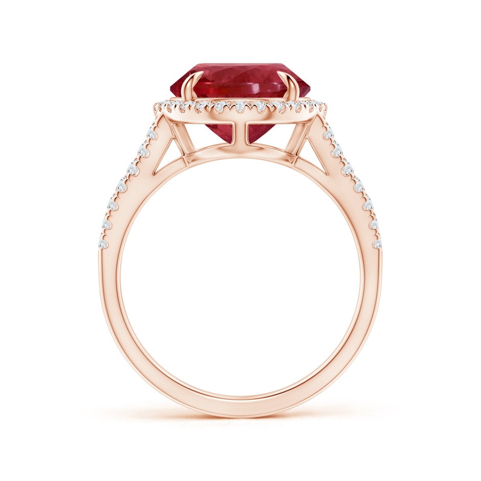 12.18x10.22x7.61mm AAAA GIA Certified Oval Pink Tourmaline Split Shank Ring with Halo in 18K Rose Gold side 199