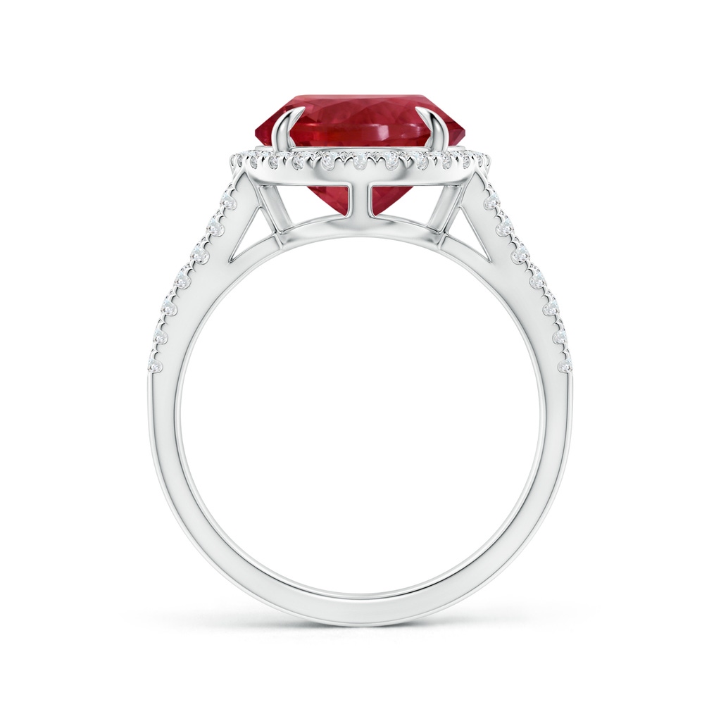 12.18x10.22x7.61mm AAAA GIA Certified Oval Pink Tourmaline Split Shank Ring with Halo in White Gold - side 199