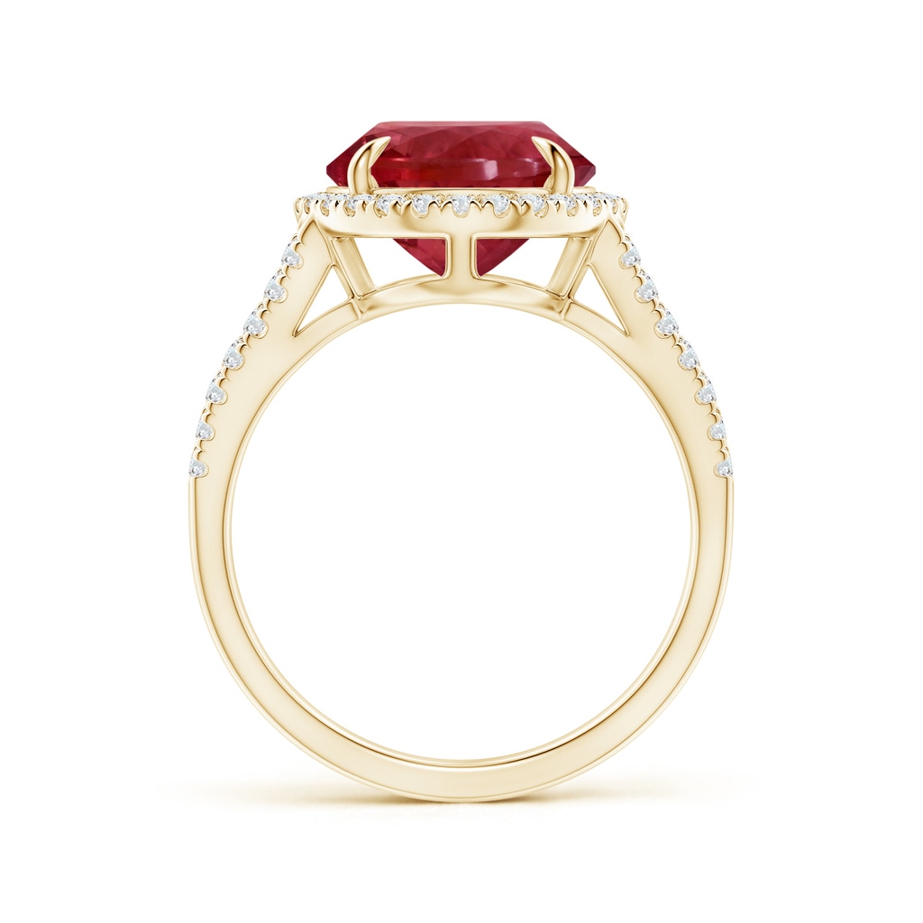 12.18x10.22x7.61mm AAAA GIA Certified Oval Pink Tourmaline Split Shank Ring with Halo in Yellow Gold - side 199