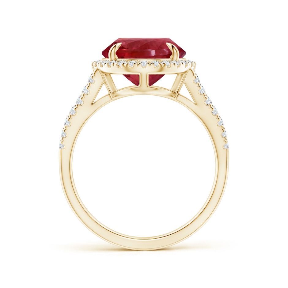 12.18x10.22x7.61mm AAAA GIA Certified Oval Pink Tourmaline Split Shank Ring with Halo in Yellow Gold side 199