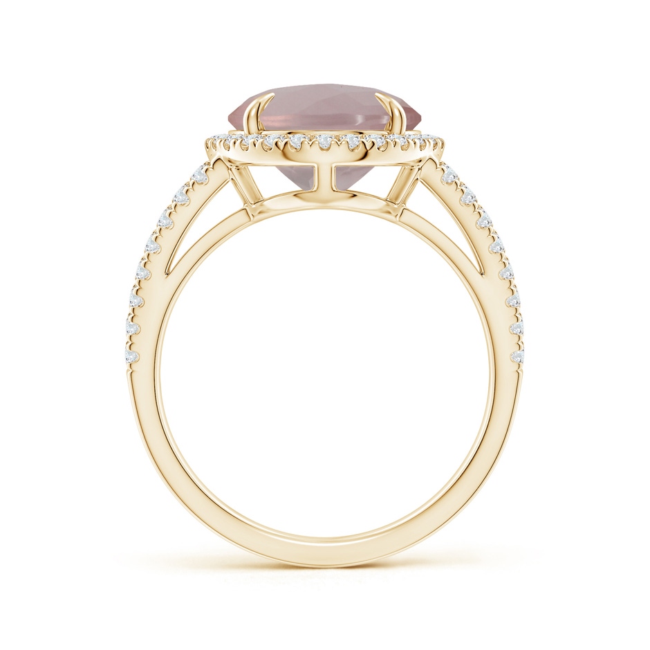 12.14x10.08x6.70mm AAAA Oval GIA Certified Rose Quartz Split Shank Ring with Halo in Yellow Gold side 199