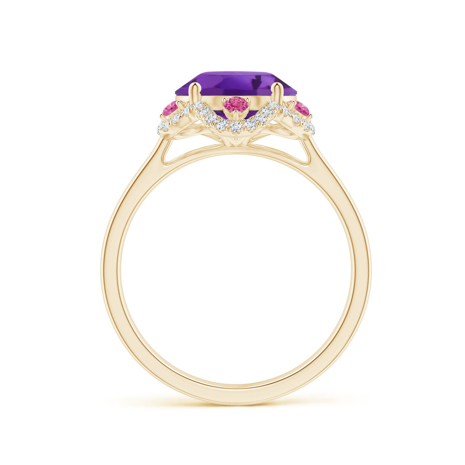 AAA - Amethyst / 3.48 CT / 14 KT Yellow Gold