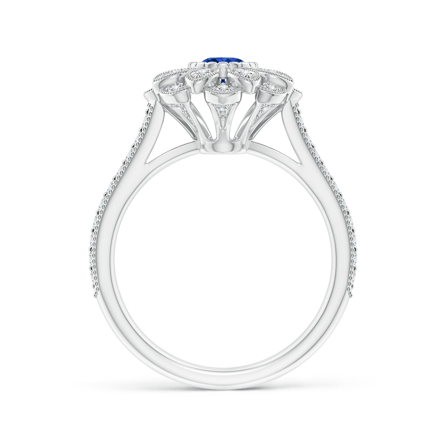 AAAA - Blue Sapphire / 0.84 CT / 14 KT White Gold