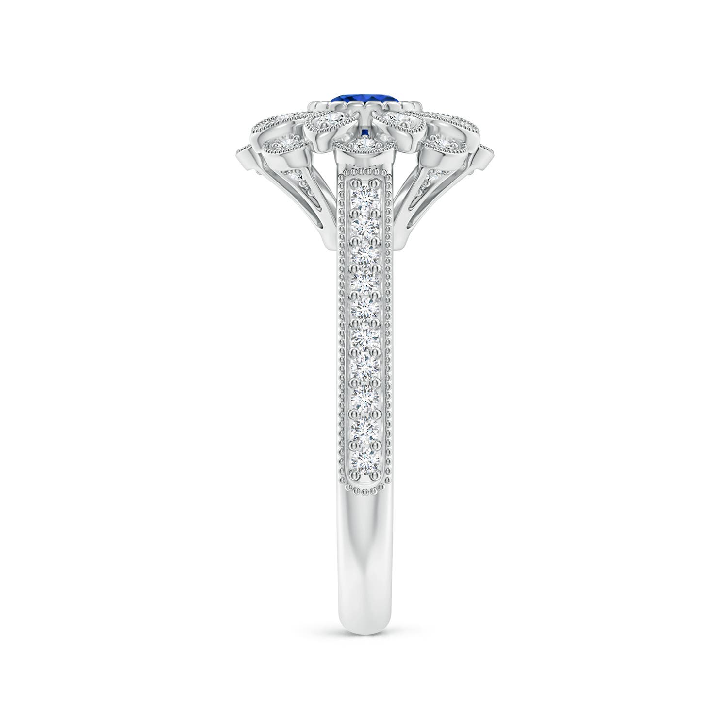 AAAA - Blue Sapphire / 0.84 CT / 14 KT White Gold