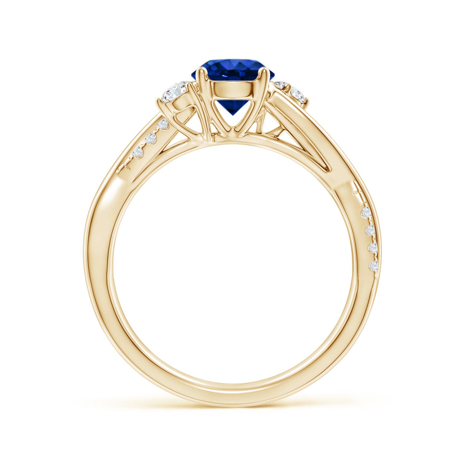 AAAA - Blue Sapphire / 1.24 CT / 14 KT Yellow Gold