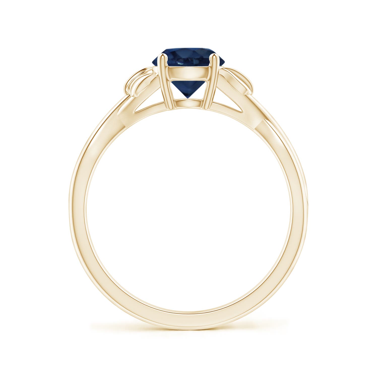 AA - Blue Sapphire / 1 CT / 14 KT Yellow Gold