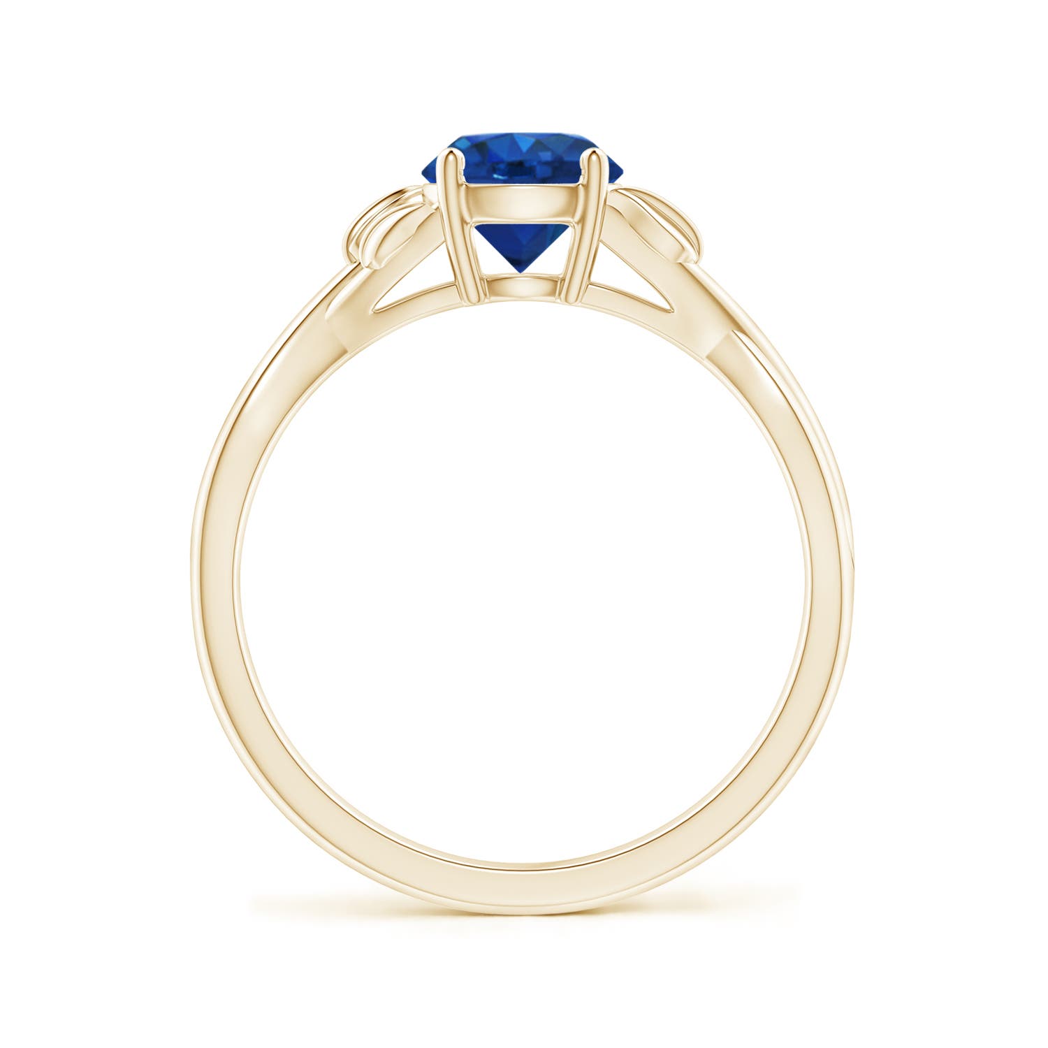 AAA - Blue Sapphire / 1 CT / 14 KT Yellow Gold