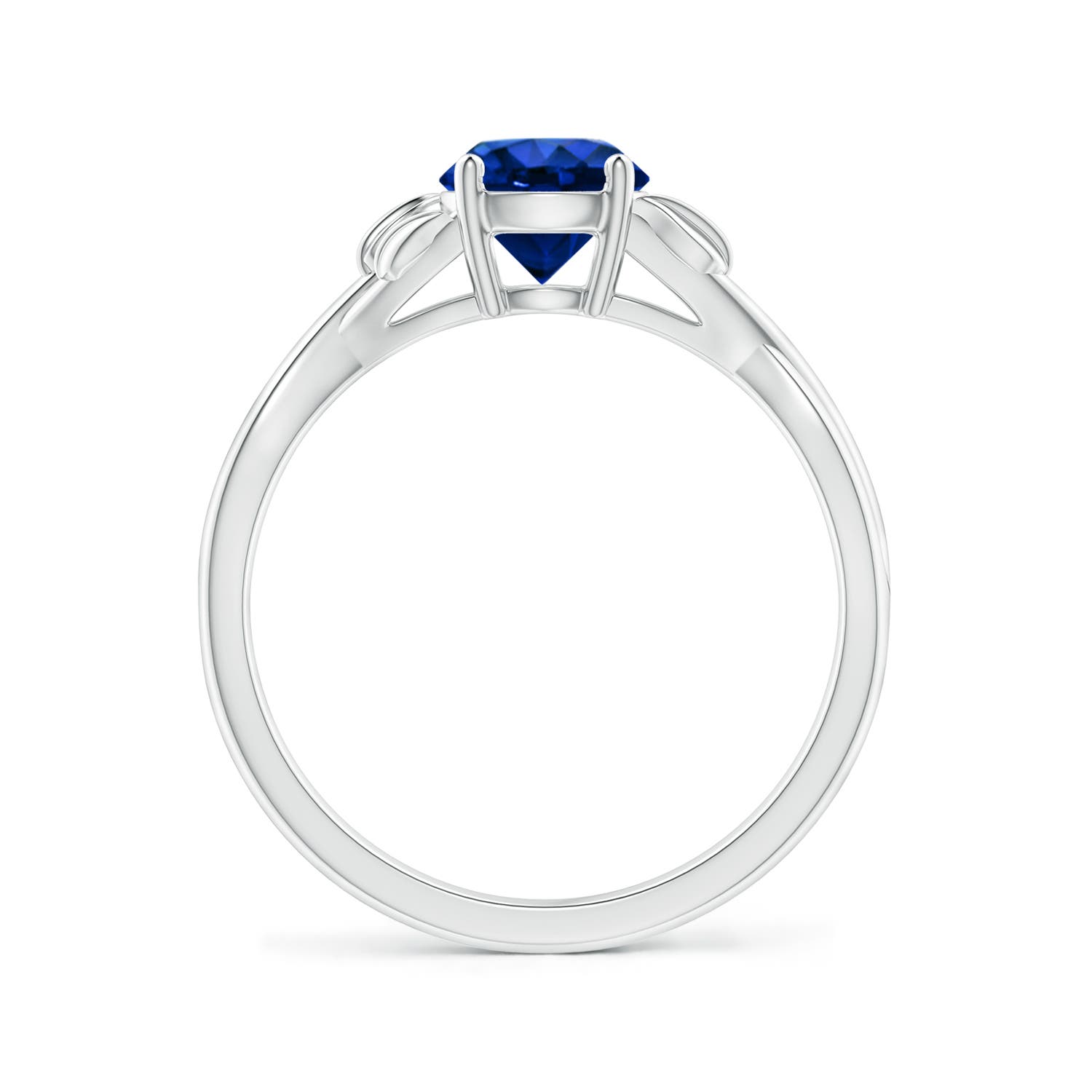 AAAA - Blue Sapphire / 1 CT / 14 KT White Gold