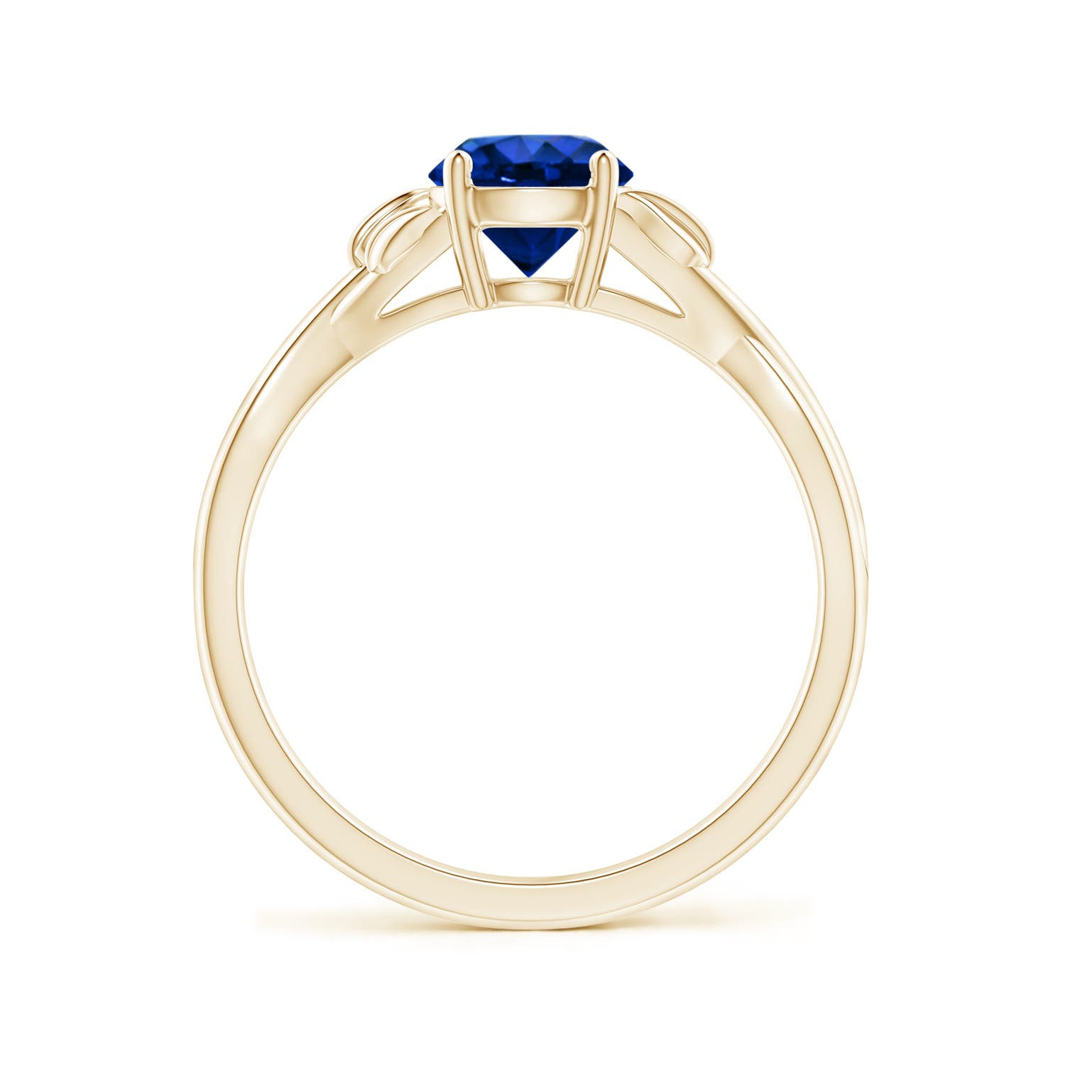 AAAA - Blue Sapphire / 1 CT / 14 KT Yellow Gold