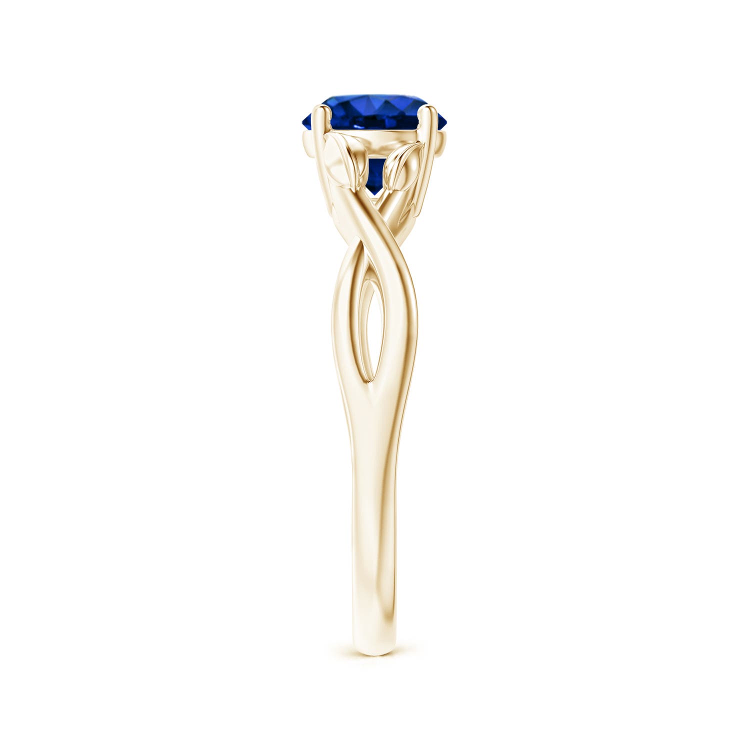 AAAA - Blue Sapphire / 1 CT / 14 KT Yellow Gold