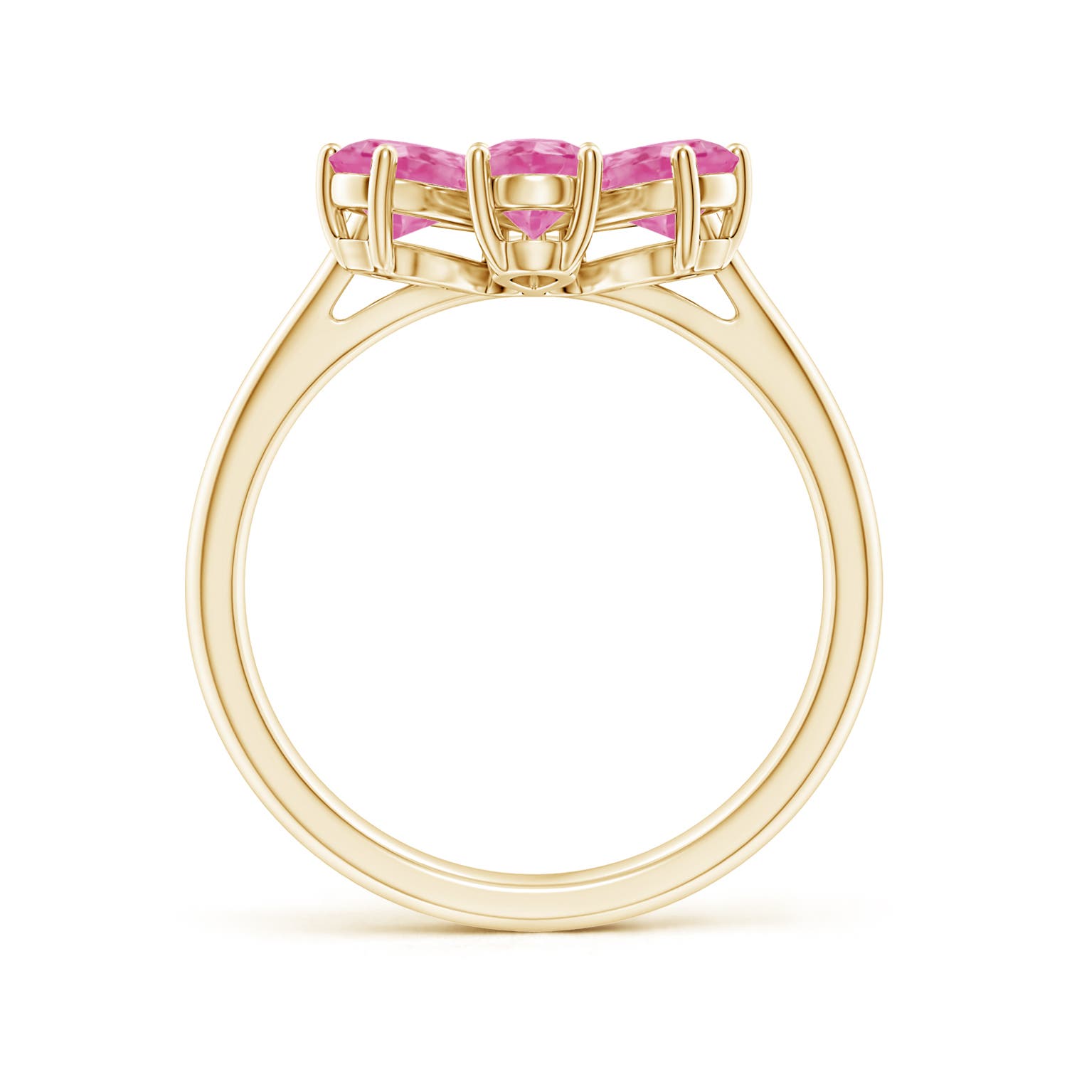 AA - Pink Sapphire / 2.74 CT / 14 KT Yellow Gold