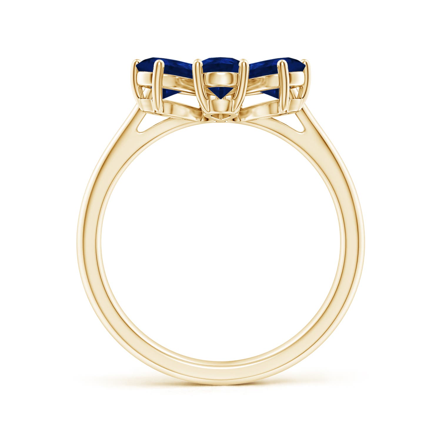 AA - Blue Sapphire / 2.44 CT / 14 KT Yellow Gold