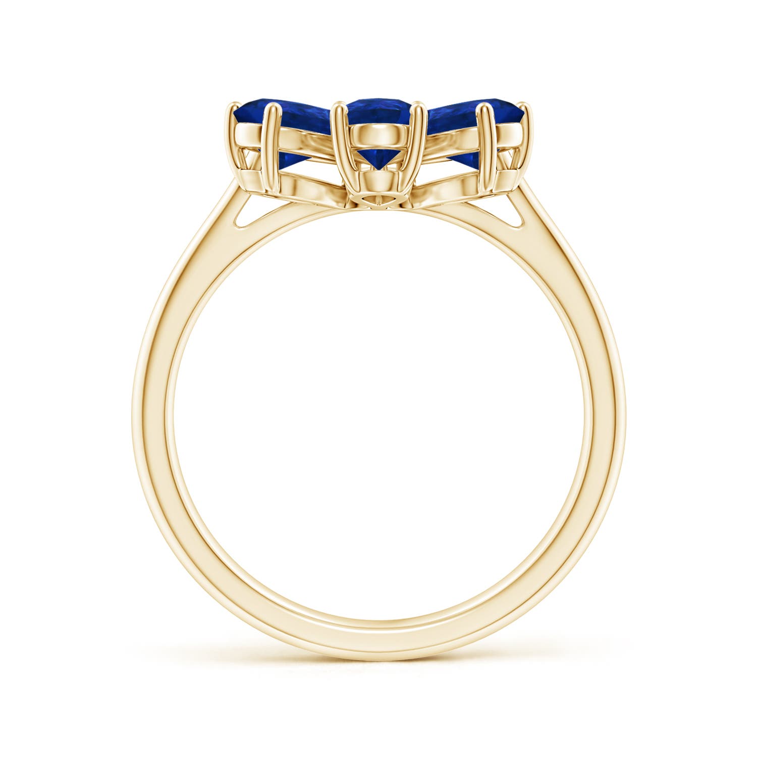 AAA - Blue Sapphire / 2.44 CT / 14 KT Yellow Gold