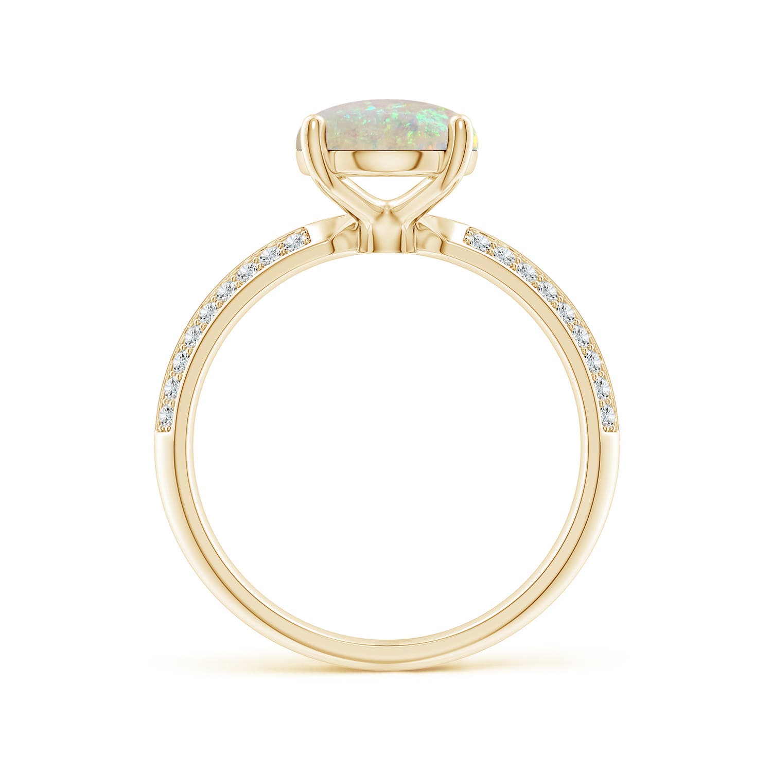 AAA - Opal / 1.67 CT / 14 KT Yellow Gold