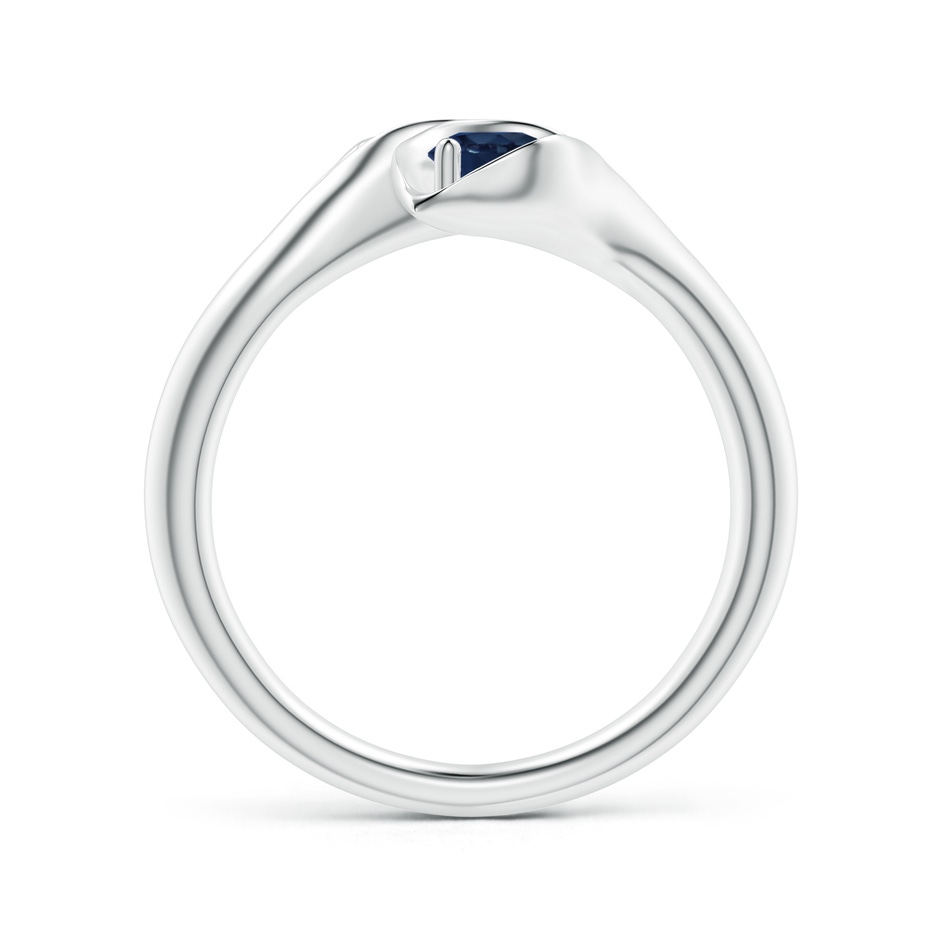 4mm AA Calla Lily Two Stone Sapphire Ring in P950 Platinum side-1