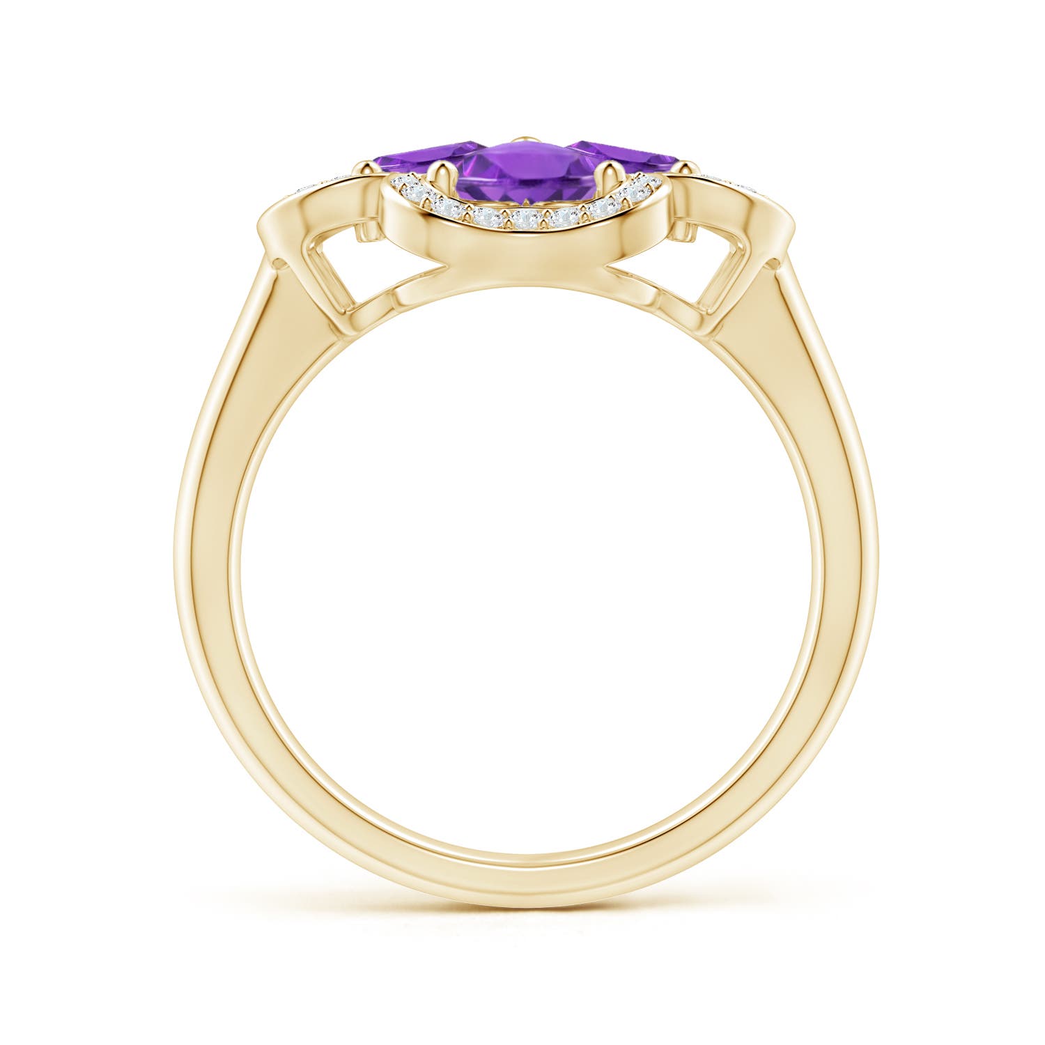 AAA - Amethyst / 1.57 CT / 14 KT Yellow Gold