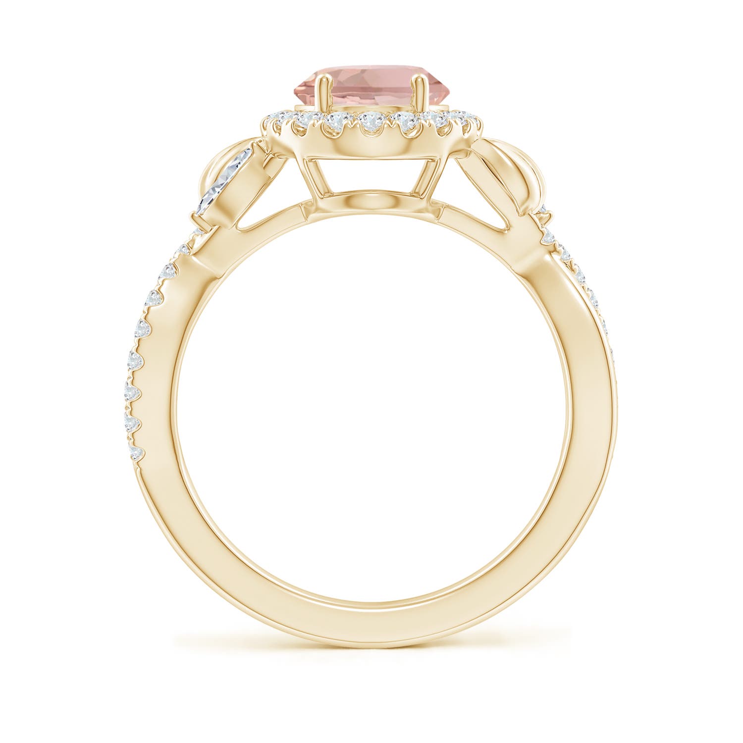 AAA - Morganite / 2.11 CT / 14 KT Yellow Gold