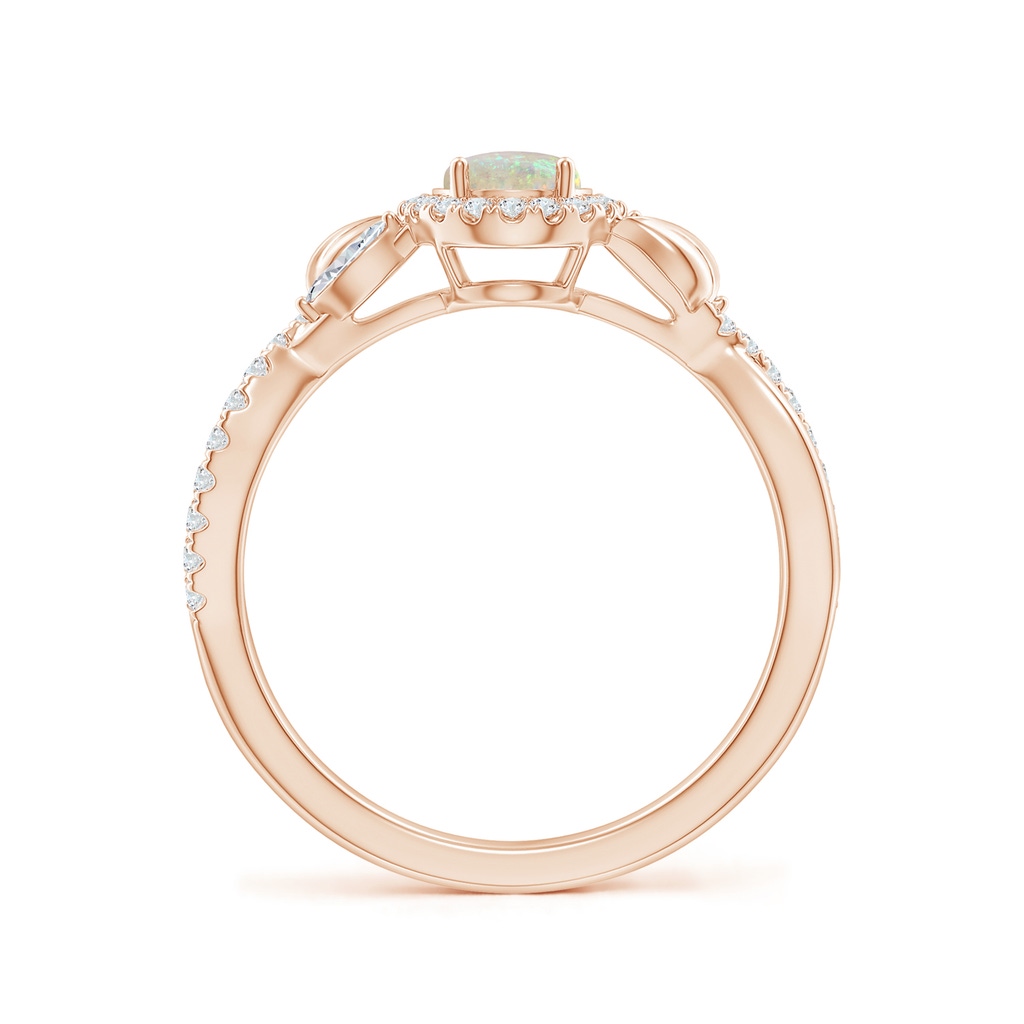 7x5mm AAA Oval Opal Twisted Vine Ring with Diamond Halo in Rose Gold Side-1