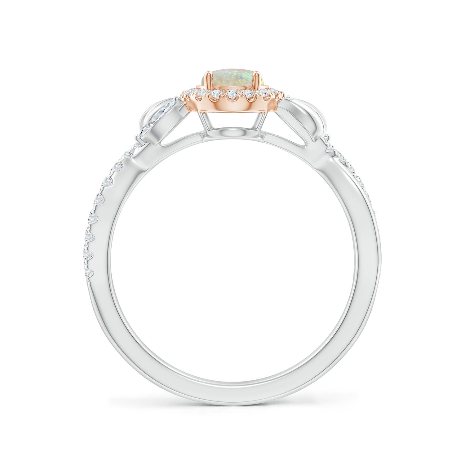 7x5mm AAA Oval Opal Twisted Vine Ring with Diamond Halo in White Gold Rose Gold - side 1