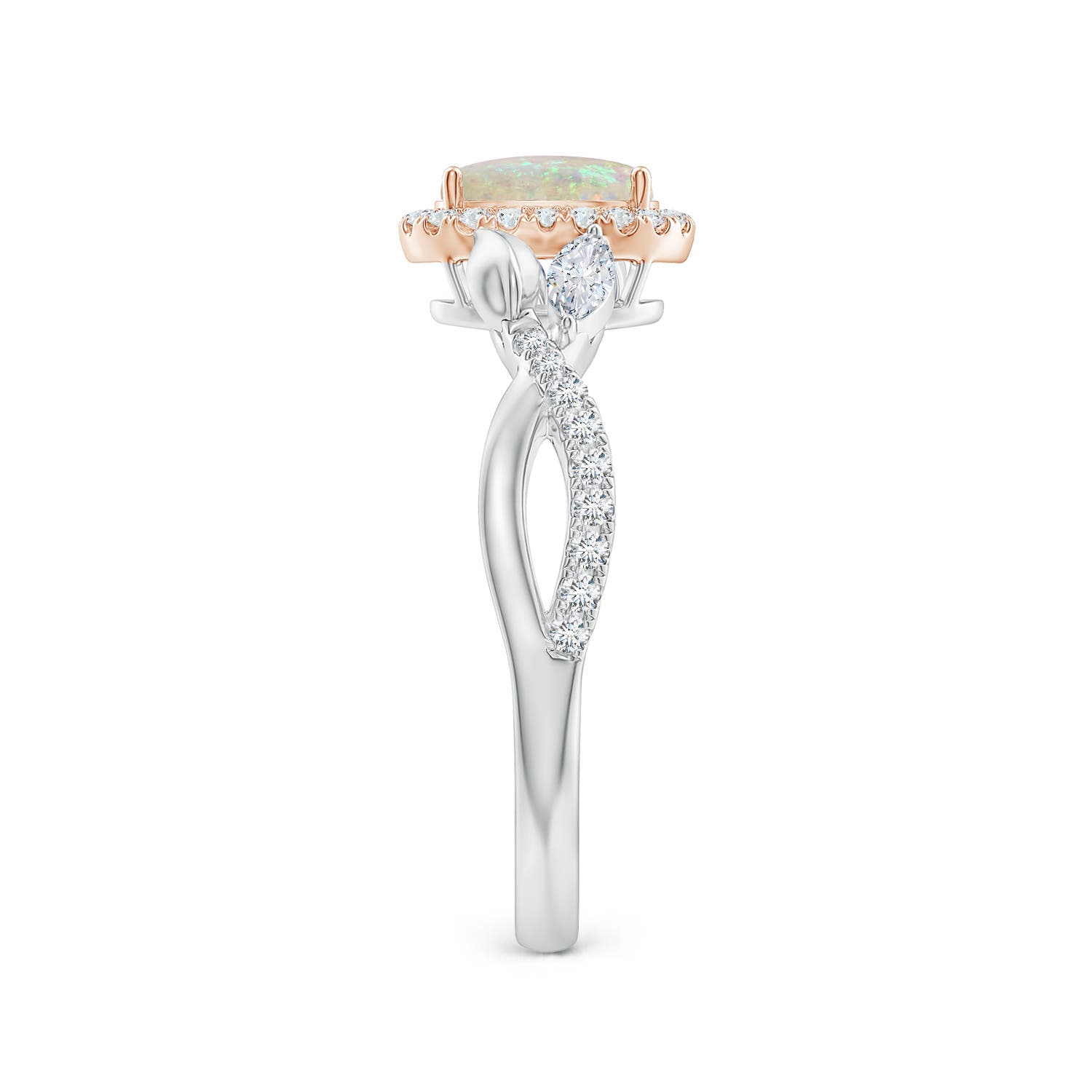 7x5mm AAA Oval Opal Twisted Vine Ring with Diamond Halo in White Gold Rose Gold - side 4