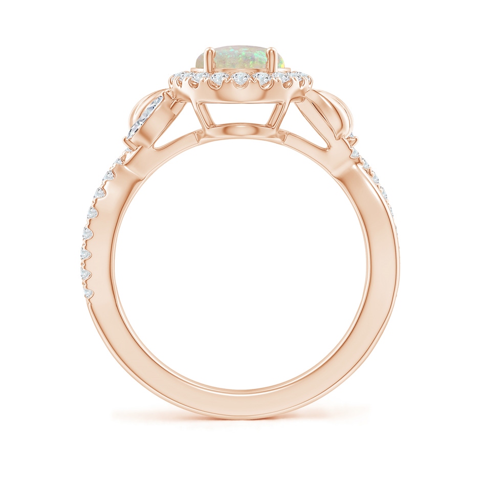 9x7mm AAA Oval Opal Twisted Vine Ring with Diamond Halo in Rose Gold side-1