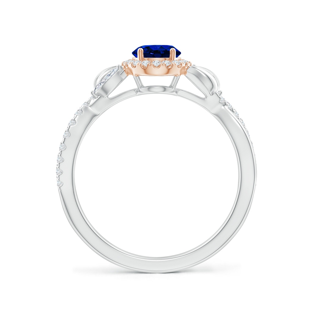 7x5mm AAAA Oval Sapphire Twisted Vine Ring with Diamond Halo in White Gold Rose Gold Side-1