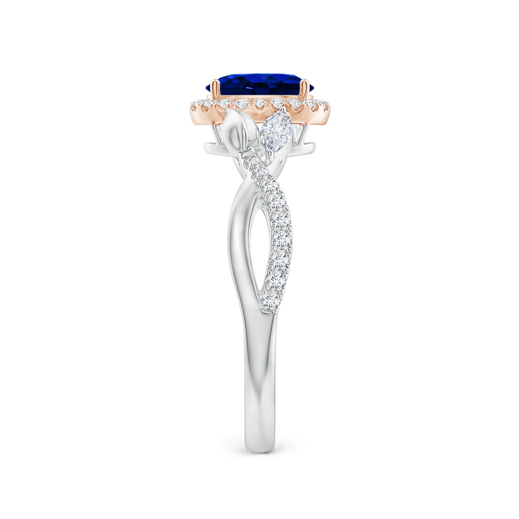 7x5mm AAAA Oval Sapphire Twisted Vine Ring with Diamond Halo in White Gold Rose Gold Side-2