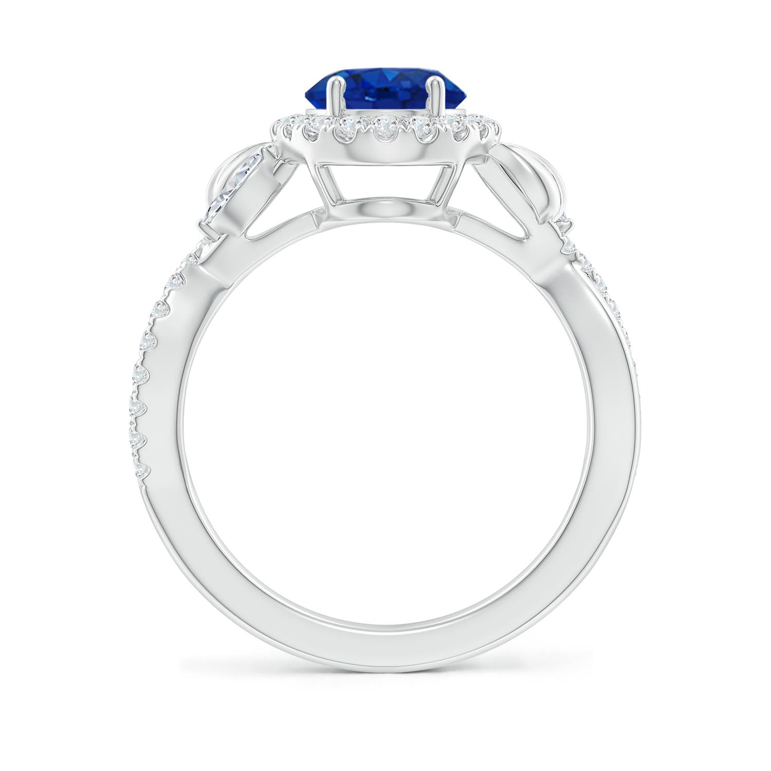 AAA - Blue Sapphire / 2.46 CT / 14 KT White Gold