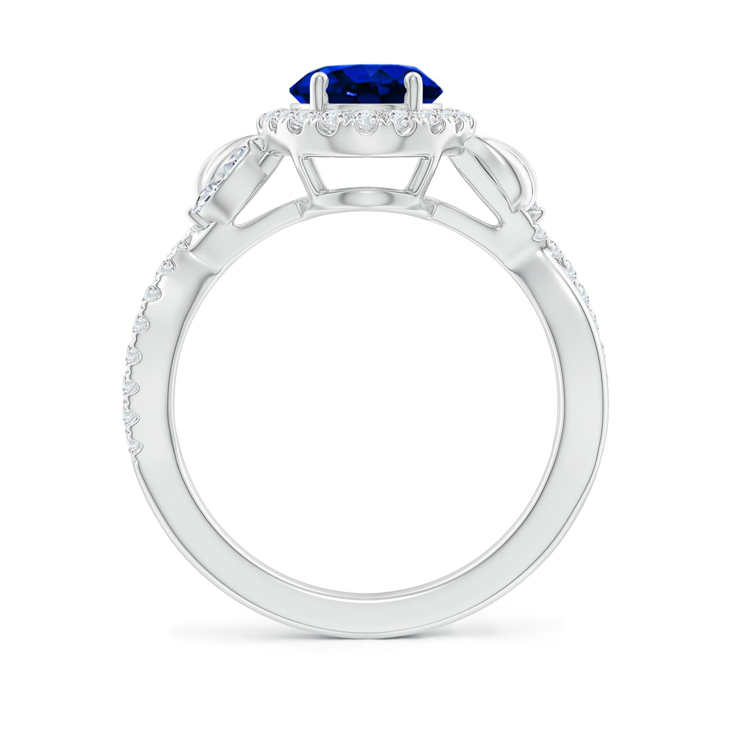 AAAA - Blue Sapphire / 2.46 CT / 14 KT White Gold