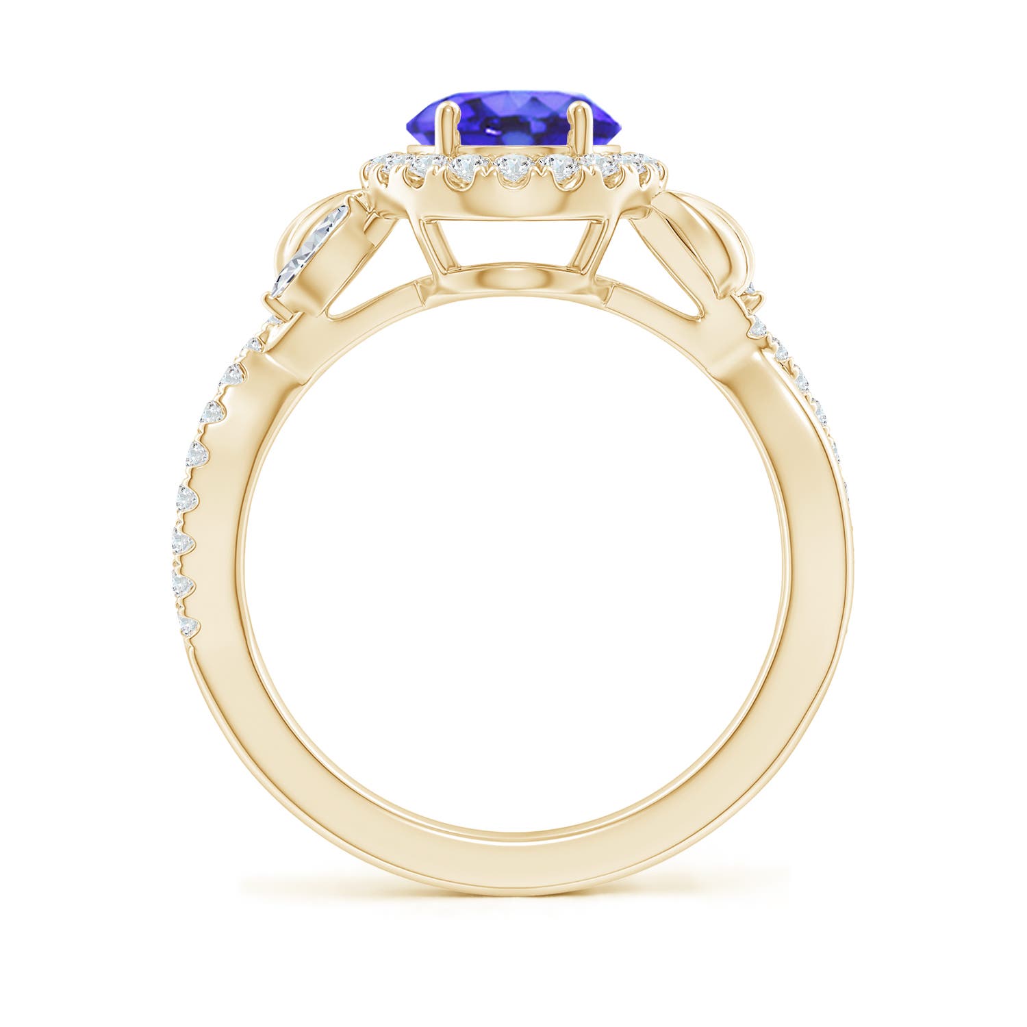 AA - Tanzanite / 2.49 CT / 14 KT Yellow Gold