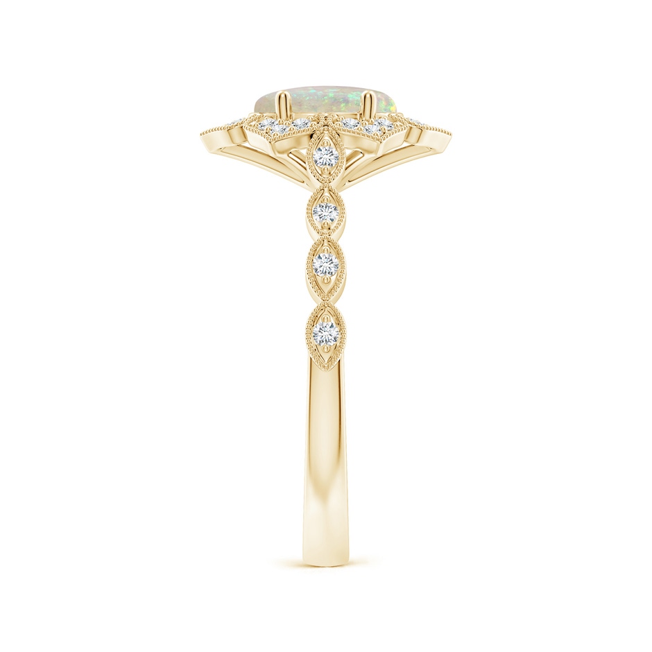 8x6mm AAA Oval Opal Trillium Floral Shank Ring in Yellow Gold side-2