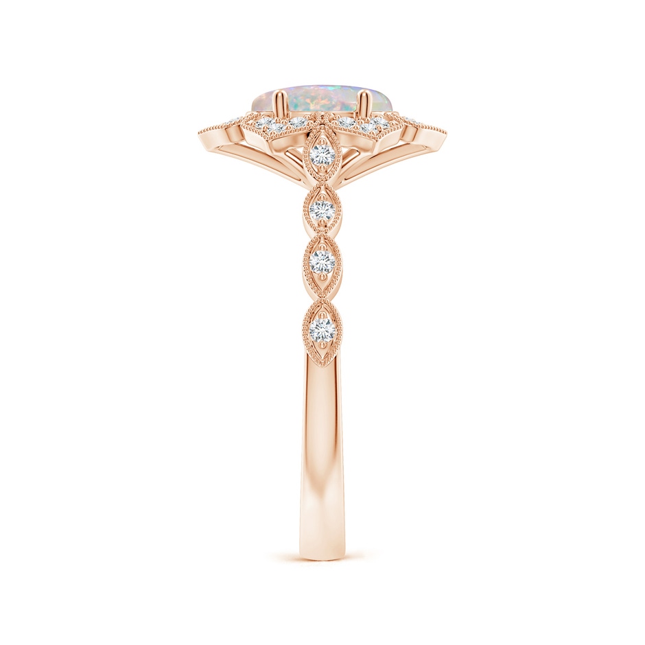 8x6mm AAAA Oval Opal Trillium Floral Shank Ring in Rose Gold side-2