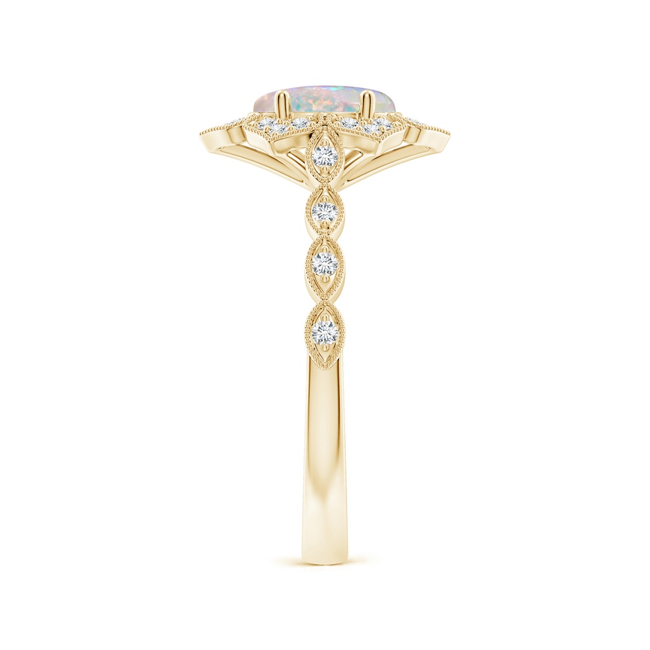 8x6mm AAAA Oval Opal Trillium Floral Shank Ring in Yellow Gold side-2