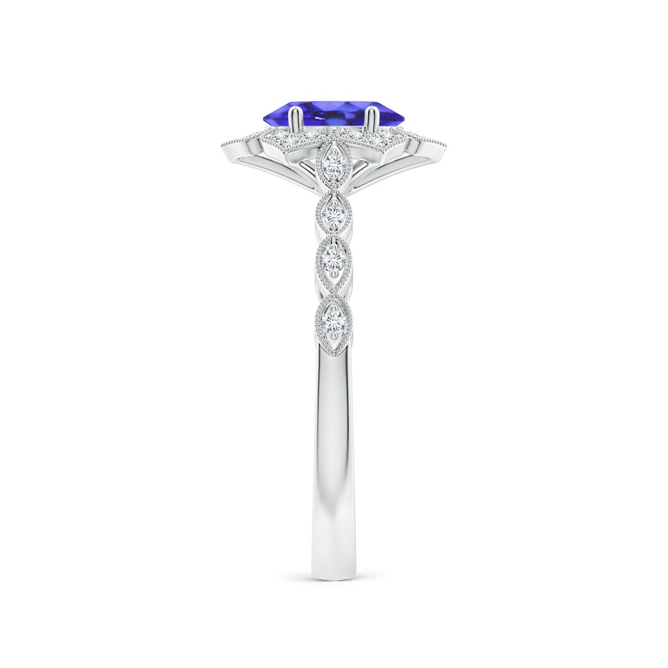 7x5mm AA Oval Tanzanite Trillium Floral Shank Ring in White Gold side-2