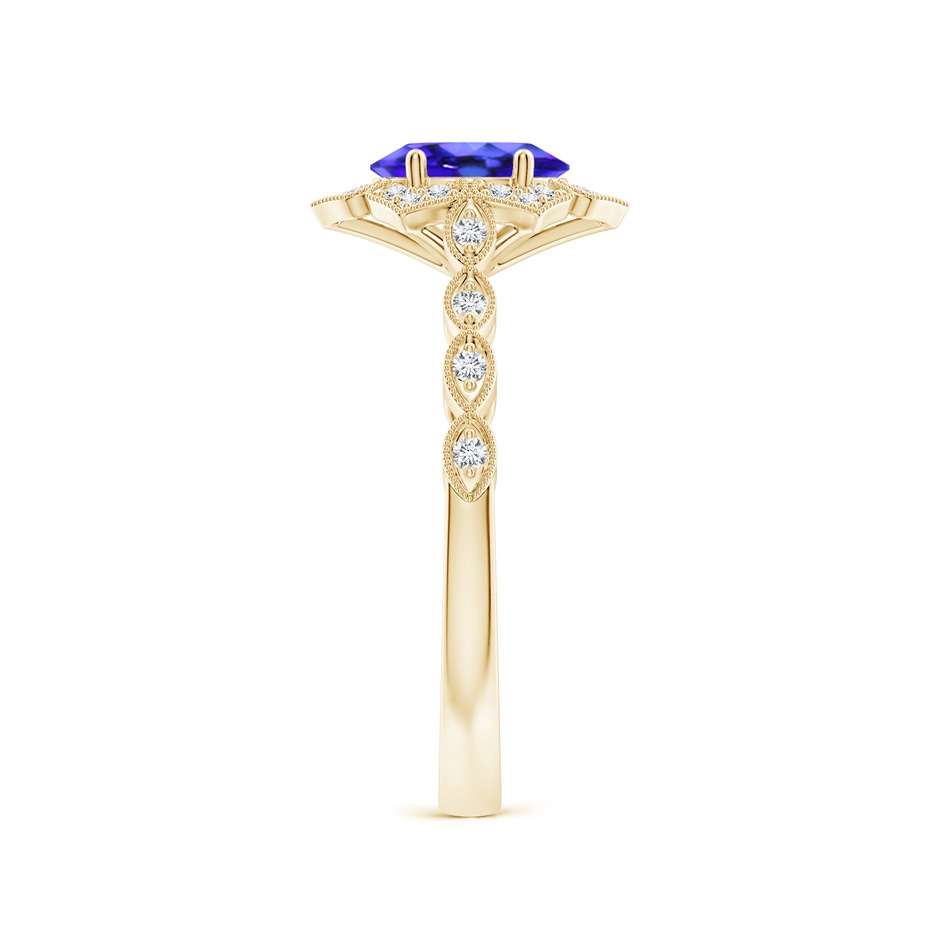 7x5mm AAA Oval Tanzanite Trillium Floral Shank Ring in 9K Yellow Gold side-2