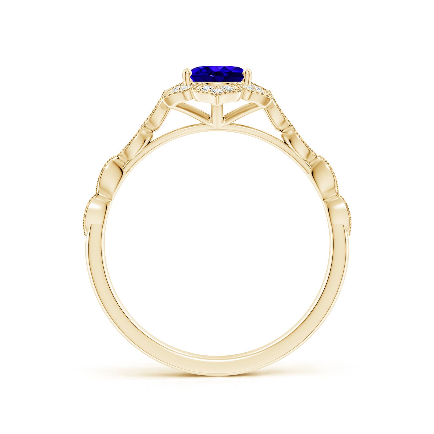 AAAA - Tanzanite / 0.93 CT / 14 KT Yellow Gold