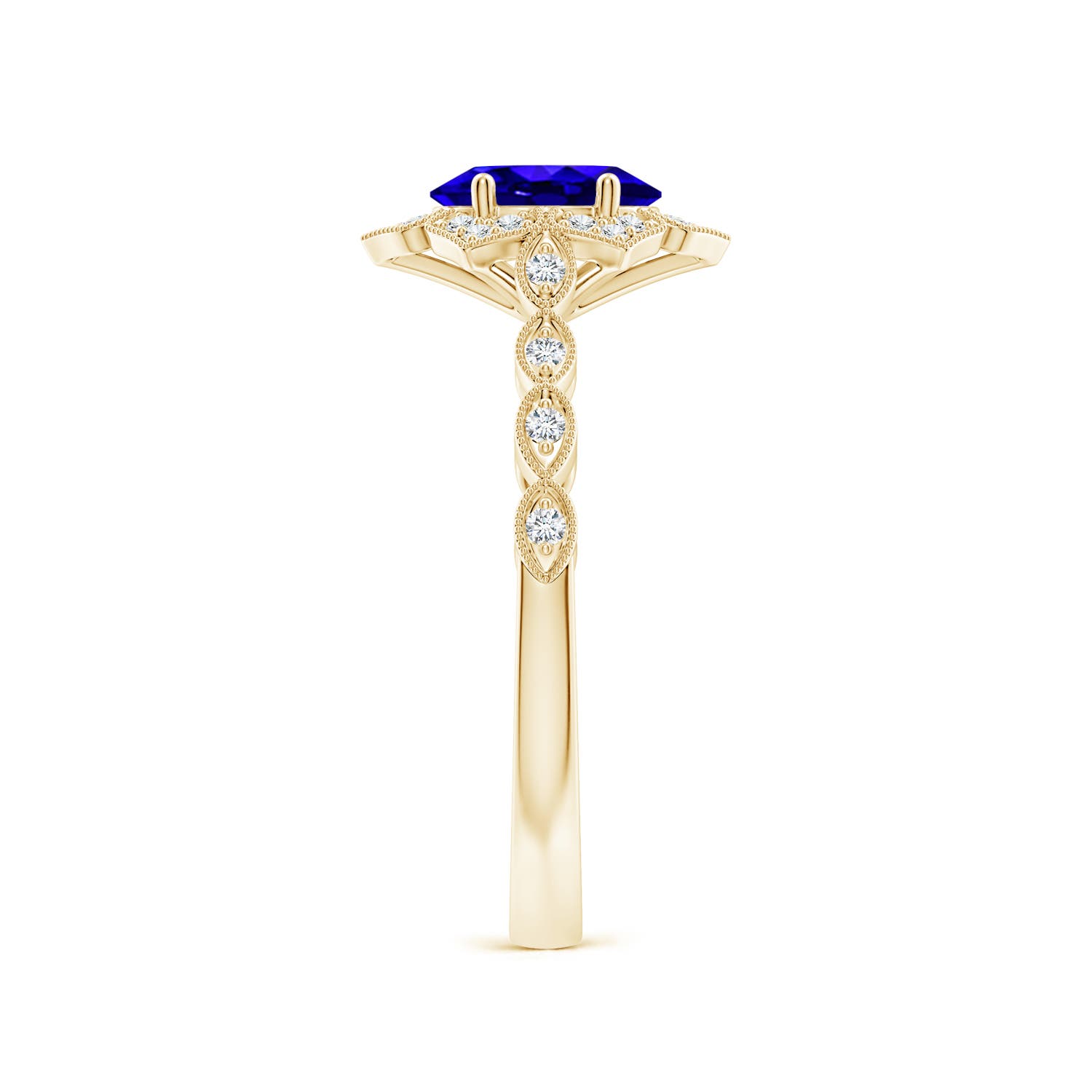 AAAA - Tanzanite / 0.93 CT / 14 KT Yellow Gold