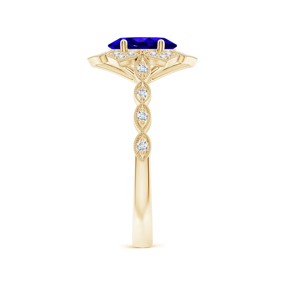 8x6mm AAAA Oval Tanzanite Trillium Floral Shank Ring in Yellow Gold side-2