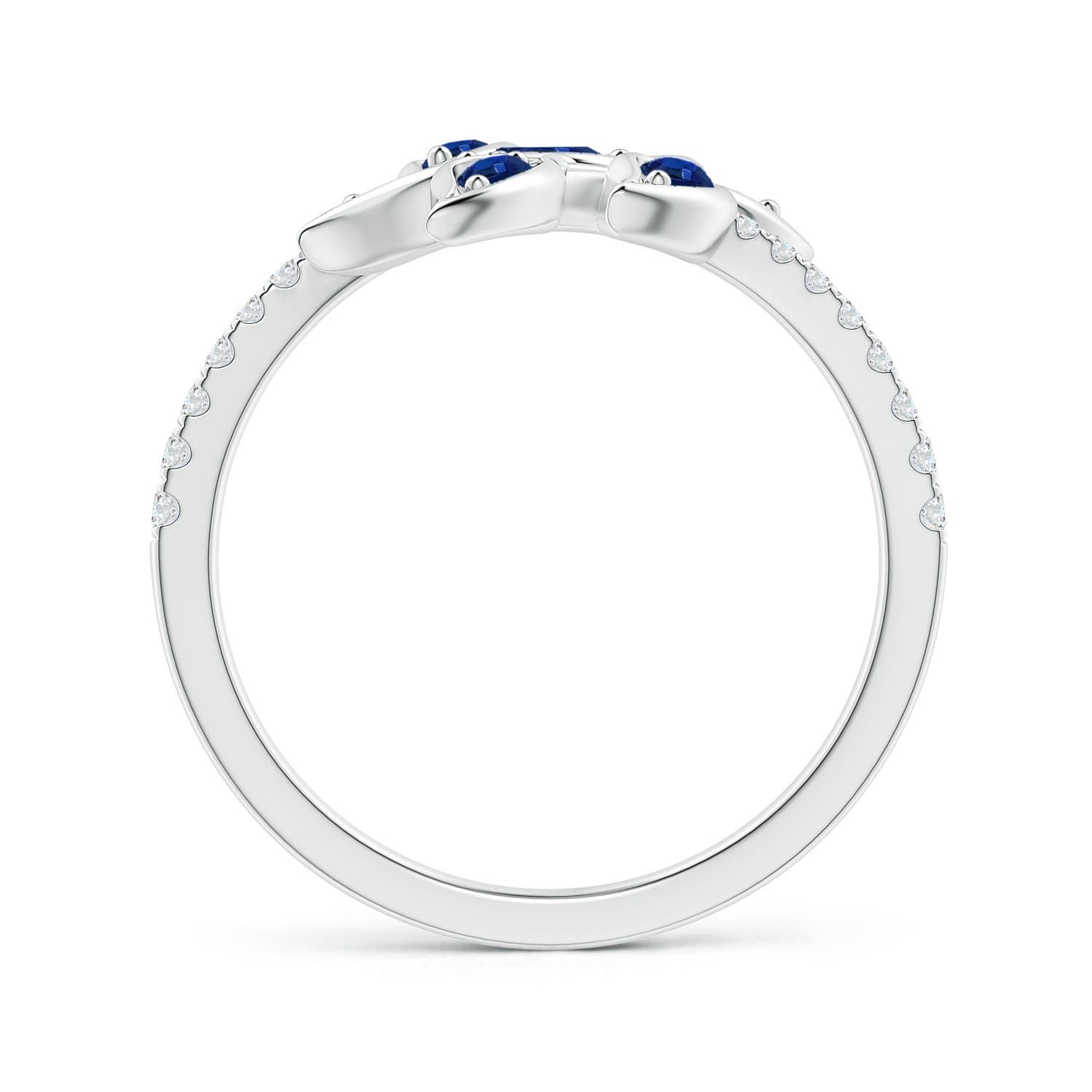 AA - Blue Sapphire / 1 CT / 14 KT White Gold