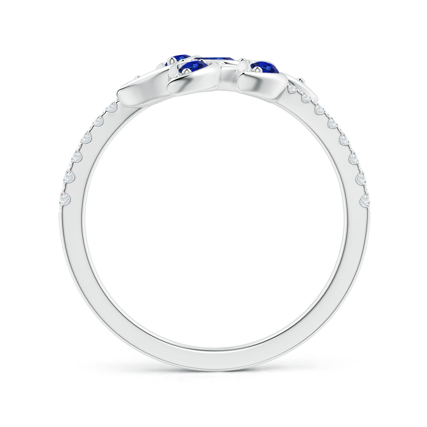 AAA - Blue Sapphire / 1 CT / 14 KT White Gold