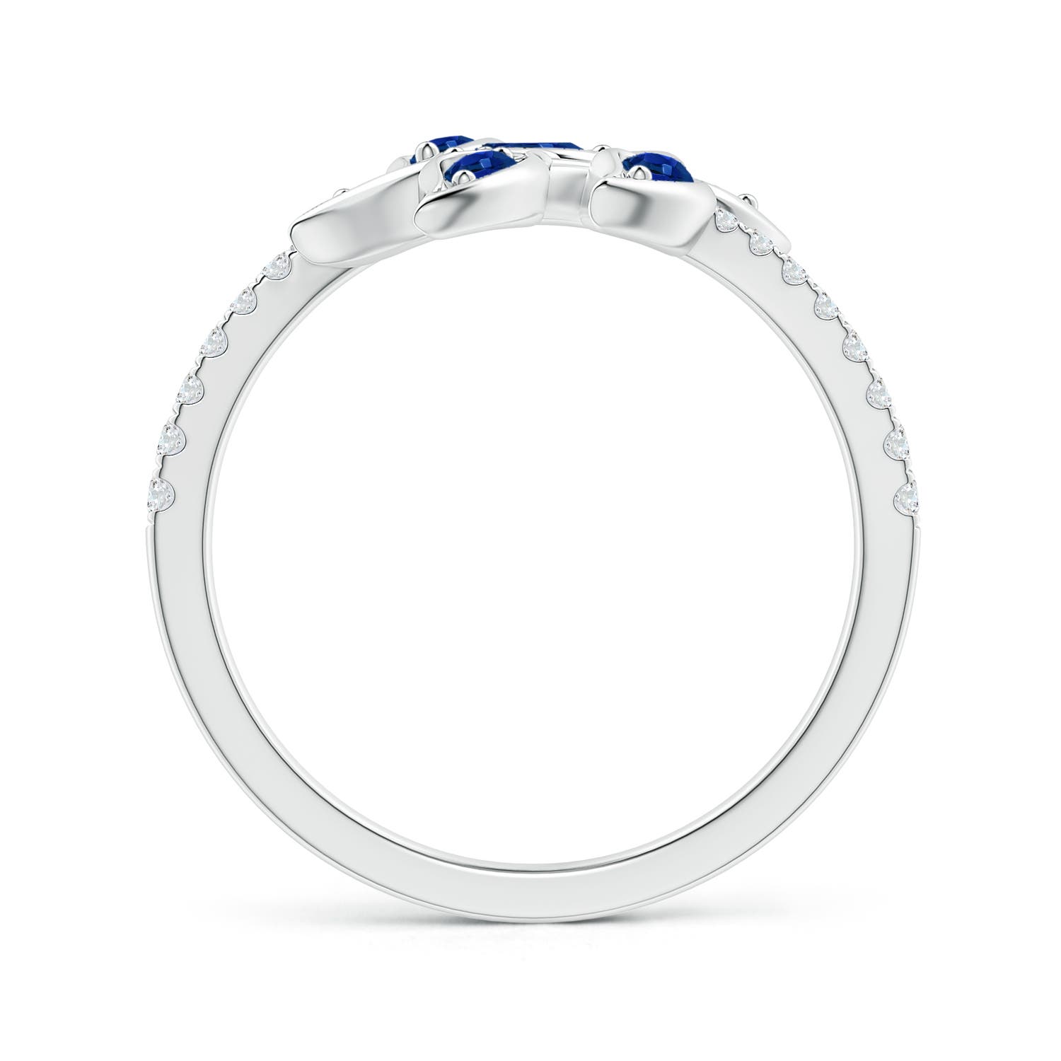 AAAA - Blue Sapphire / 1 CT / 14 KT White Gold