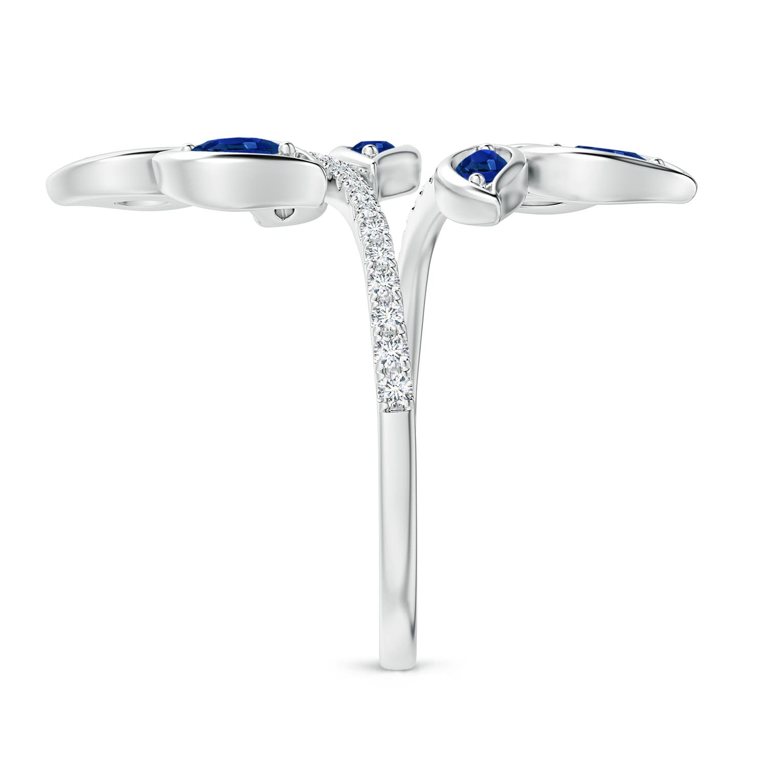 AAAA - Blue Sapphire / 1 CT / 14 KT White Gold