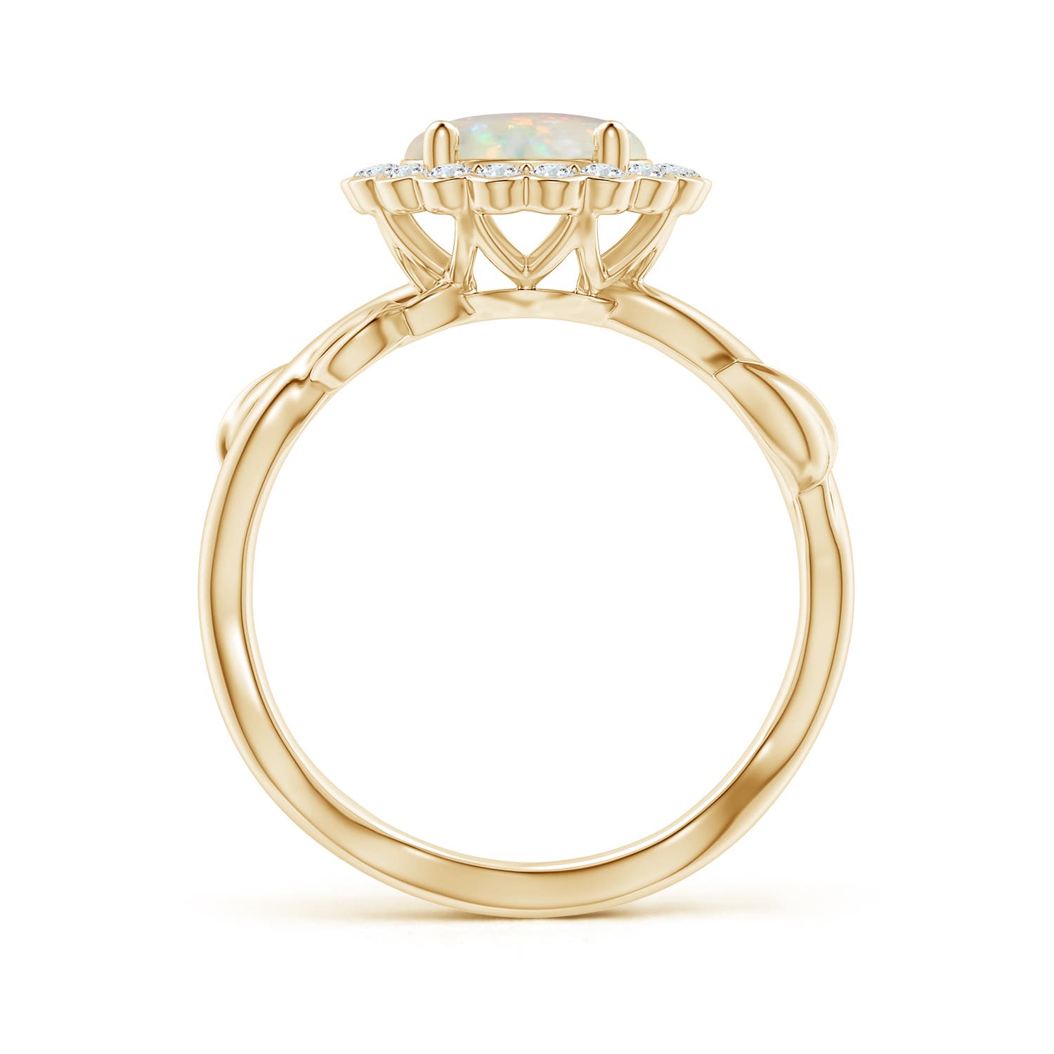 AAA - Opal / 1.4 CT / 14 KT Yellow Gold