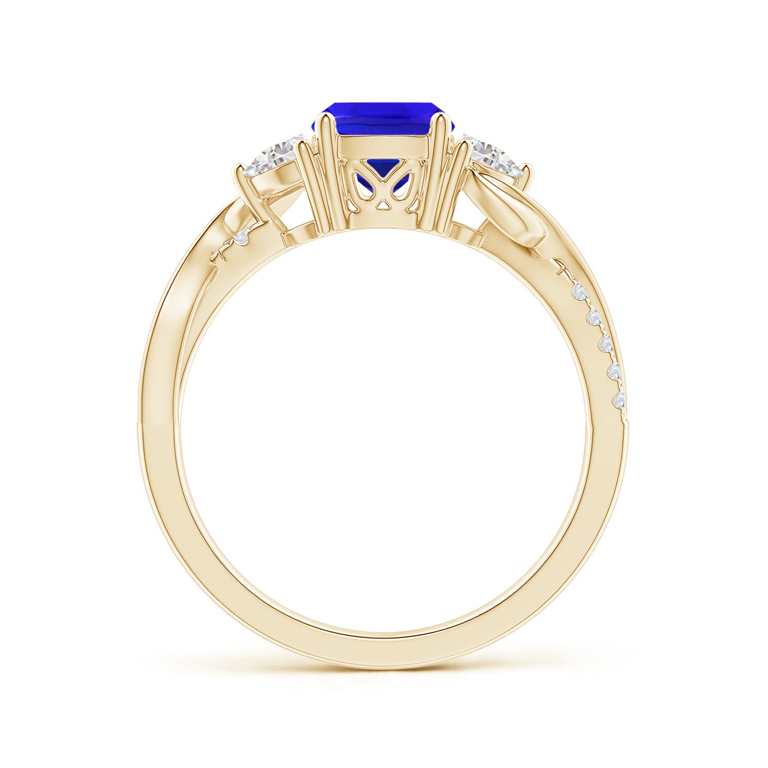 AAA - Tanzanite / 1.43 CT / 14 KT Yellow Gold