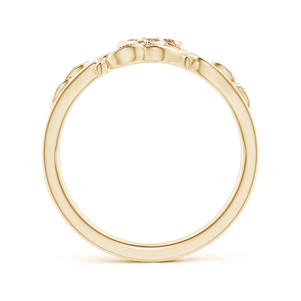 1.3mm AAAA Nature Inspired Pave-Set Coffee Diamond Leaf and Vine Ring in Yellow Gold - side_1