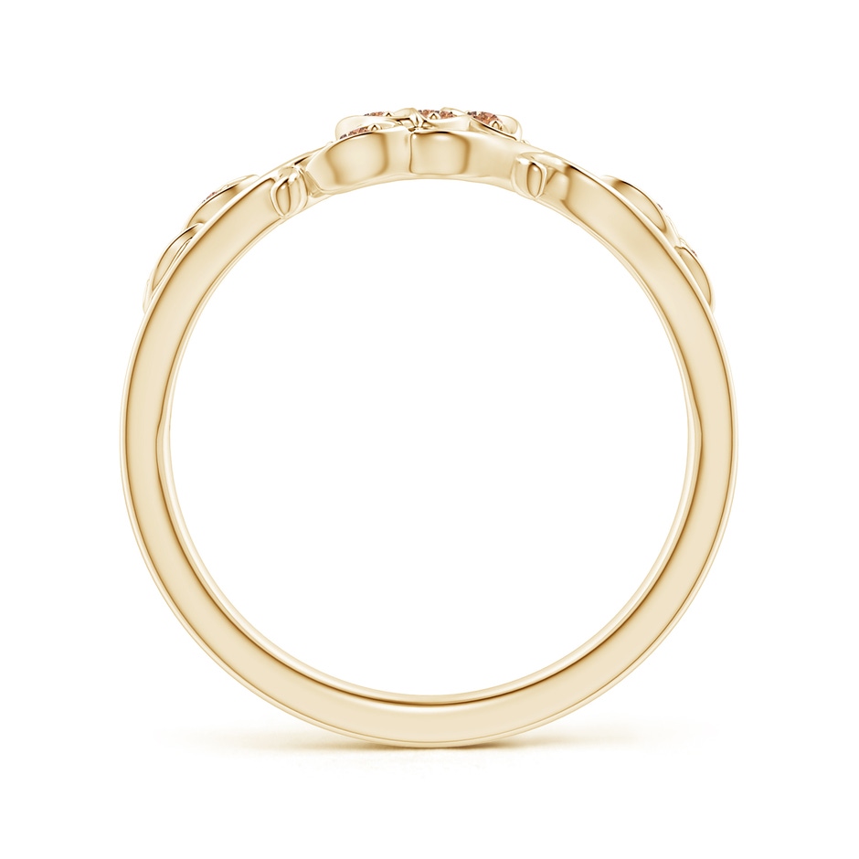 1.3mm AAAA Nature Inspired Pave-Set Coffee Diamond Leaf and Vine Ring in Yellow Gold side-1